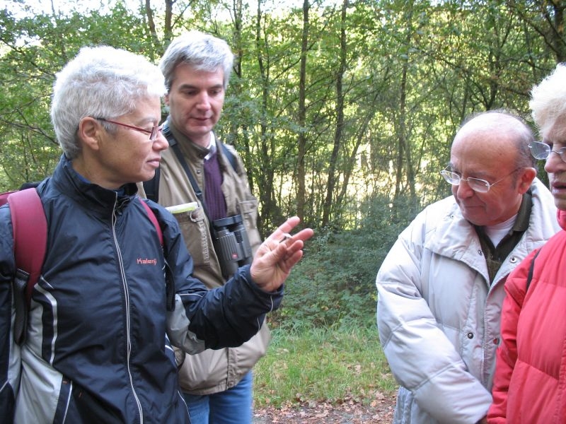 2006 10 Myco Etang d'Or 04